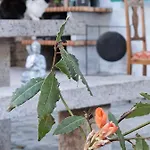 Horská chata A Casa Da Lua Nieves
