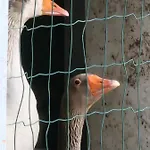 Horská chata A Casa Da Lua