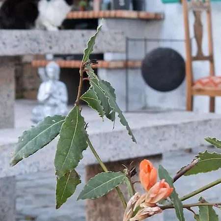 シャレー A Casa Da Lua Nieves