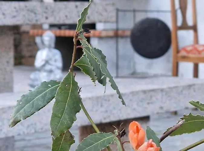 Шале A Casa Da Lua Nieves