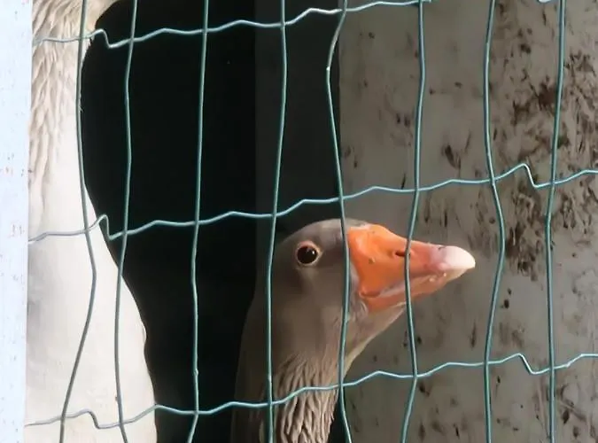 Шале A Casa Da Lua