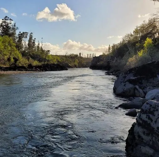A Casa Da Lua * Nieves